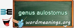 WordMeaning blackboard for genus aulostomus